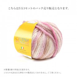 毛糸 段染め ウール 5玉 まとめ買い SKI YARN(スキー毛糸) カテーナマルチカラー 秋冬