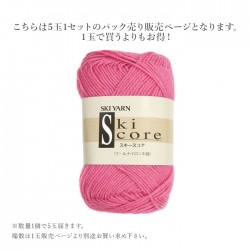 毛糸 まとめ買い 5玉 中細 / SKI YARN(スキー毛糸) スキー スコア ウールナイロン中細 5玉セット 1 秋冬