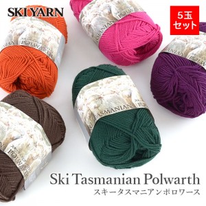 毛糸 まとめ買い 5玉 合太 ウール 100％ / SKI YARN(スキー毛糸) スキー タスマニアンポロワース 5玉セット 2 秋冬