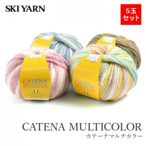 毛糸 段染め ウール 5玉 まとめ買い SKI YARN(スキー毛糸) カテーナマルチカラー 秋冬