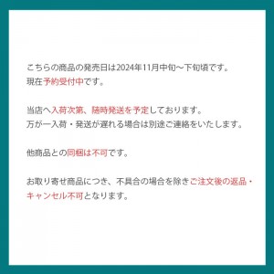 編み物 キット Puppy(パピー) 東海えりか ハルシュタットプルオーバーキット 2024 新作