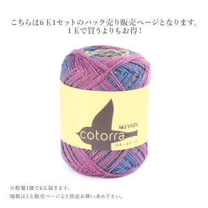 毛糸 まとめ買い 6玉 グラデーション 段染め / SKI YARN(スキー毛糸) スキー コトーラ 6玉セット 春夏