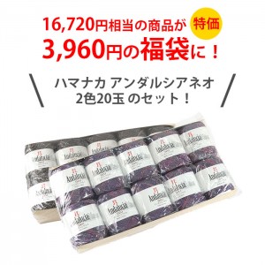 毛糸 福袋 HappyPack / ハマナカ アンダルシア ネオ 2色20玉セット