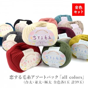 毛糸 合太 並太 極太 限定販売 / YANAGIYARN(ヤナギヤーン) 恋する毛糸 アソートパック 「all colors」(計39玉) 柳屋オリジナル