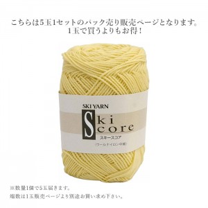 毛糸 まとめ買い 5玉 中細 / SKI YARN(スキー毛糸) スキー スコア ウールナイロン中細 5玉セット 2 秋冬